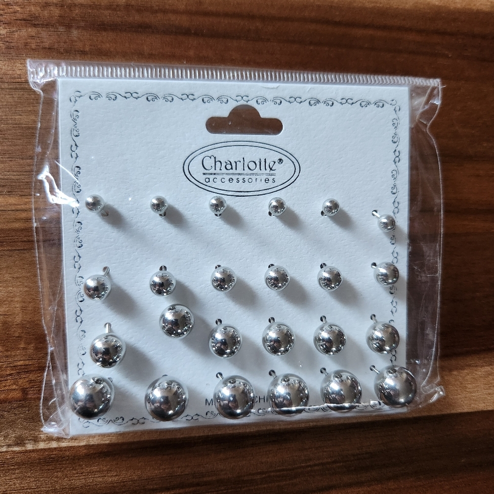Charlotte Accessories Stud Earrings Silvertone